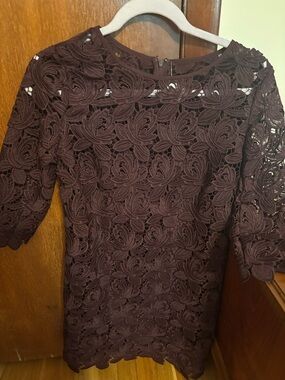 LOFT Chocolate Brown Lace Shift Dress - Long Sleeve